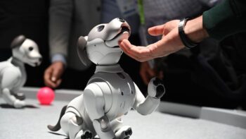 Người tham dự tương tác với chú chó robot AIBO tại gian hàng của Sony trong triển lãm điện tử tiêu dùng CES 2019.